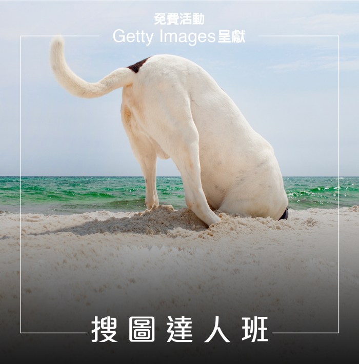 fe1ae669491507.5b83b9b33ba23