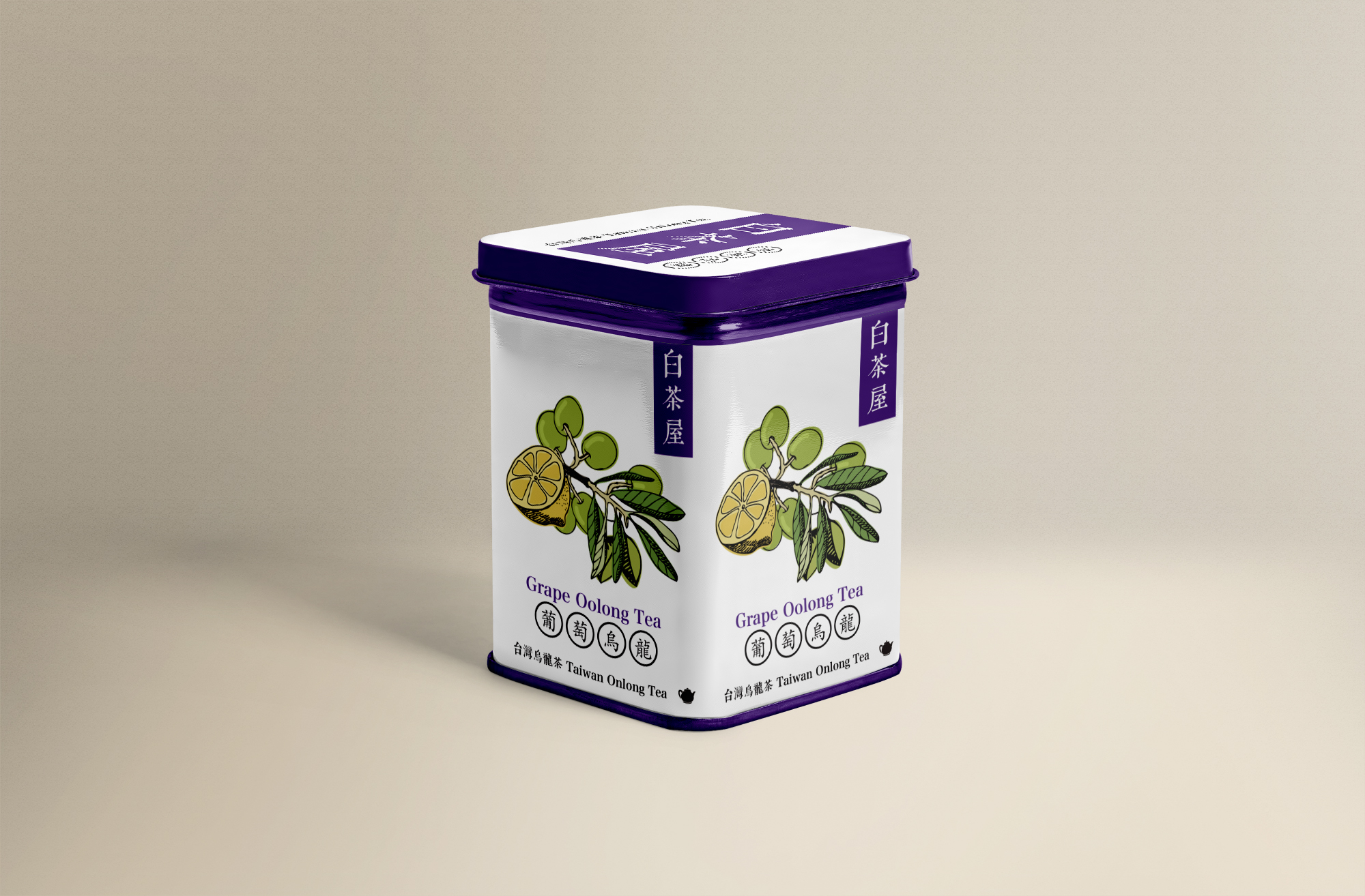 132-packaging-steel-box-mockup03