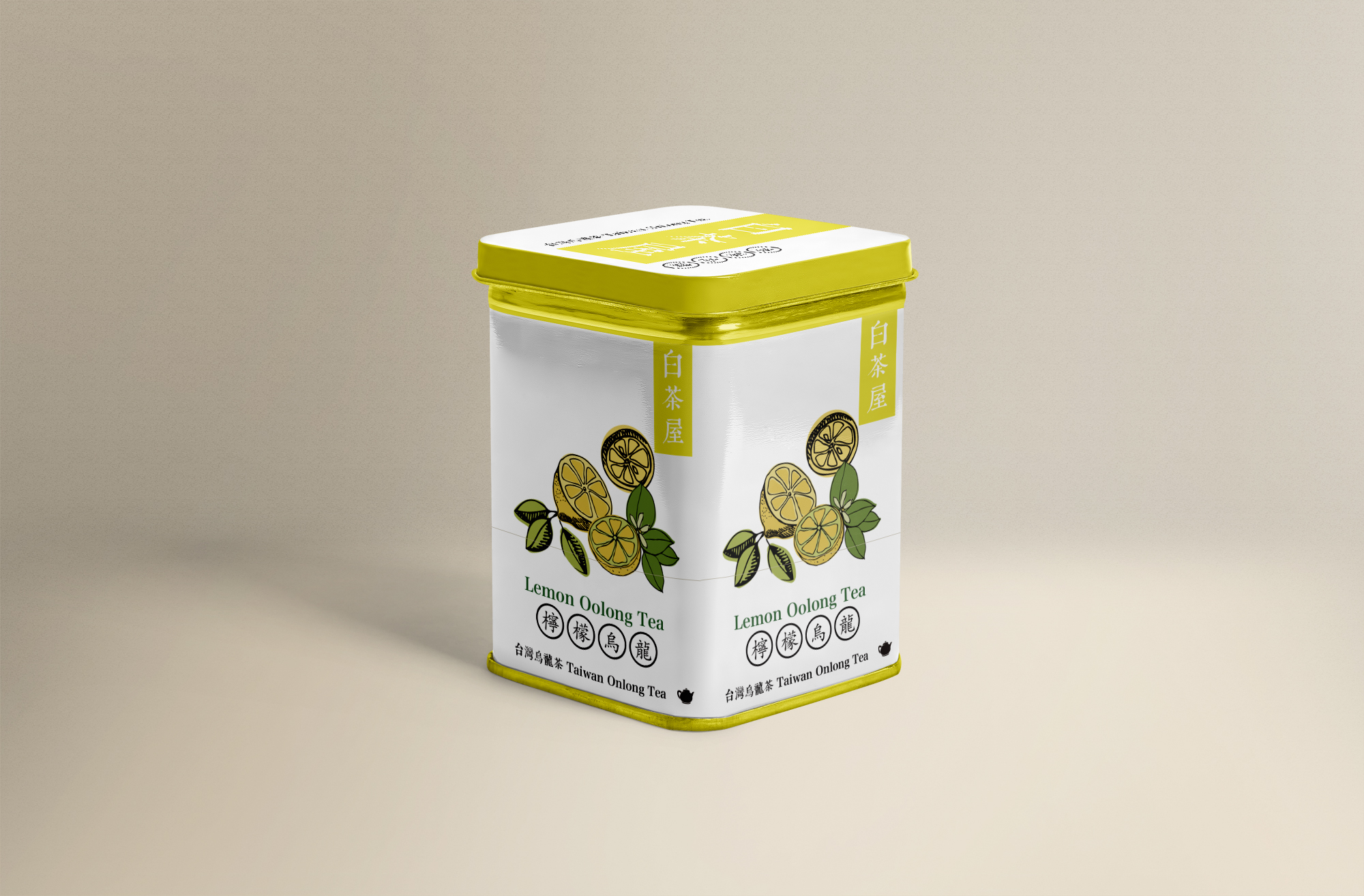 132-packaging-steel-box-mockup05